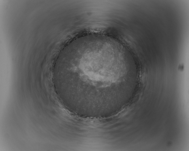 X0000112960817200908271114