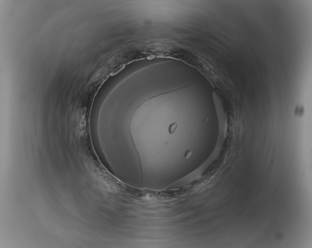 X0000112960818200908271114