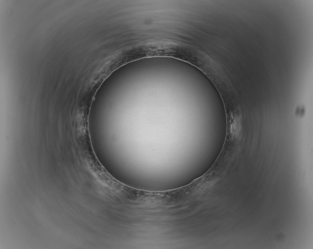 X0000112960819200908271114