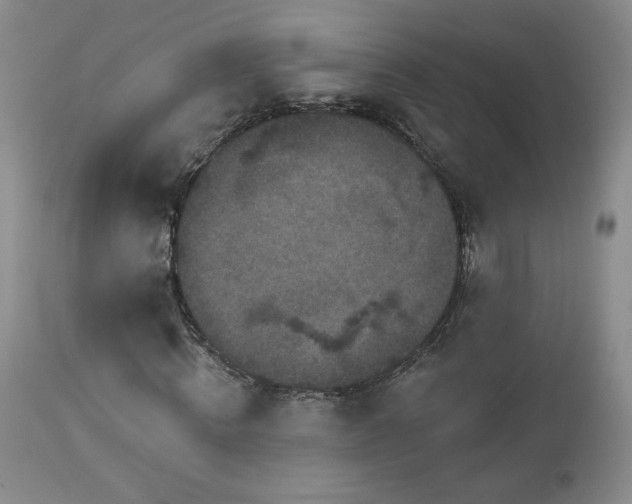 X0000112960820200908271114