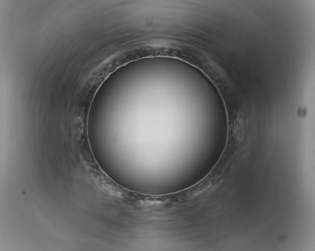 X0000112960821200908271114