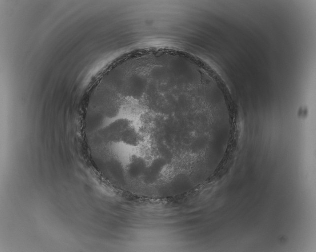 X0000112960823200908271114