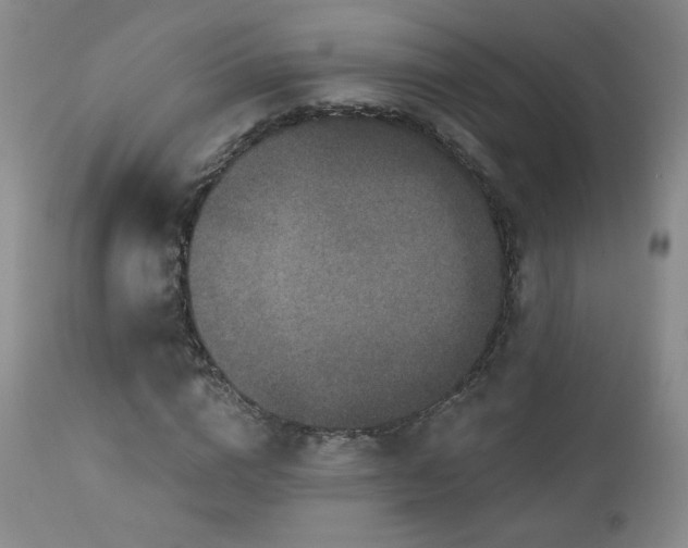 X0000112960824200908271114