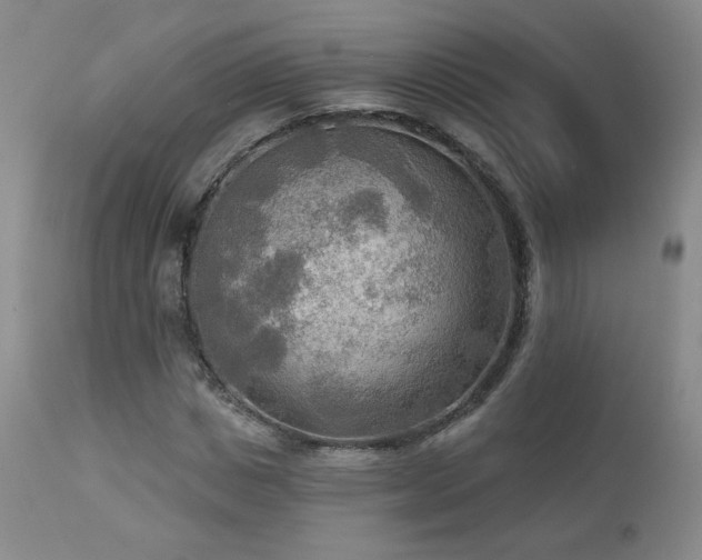 X0000112960825200908271114