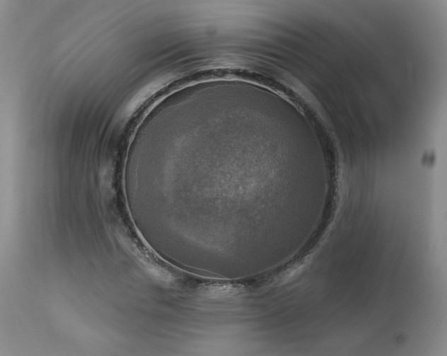 X0000112960826200908271114