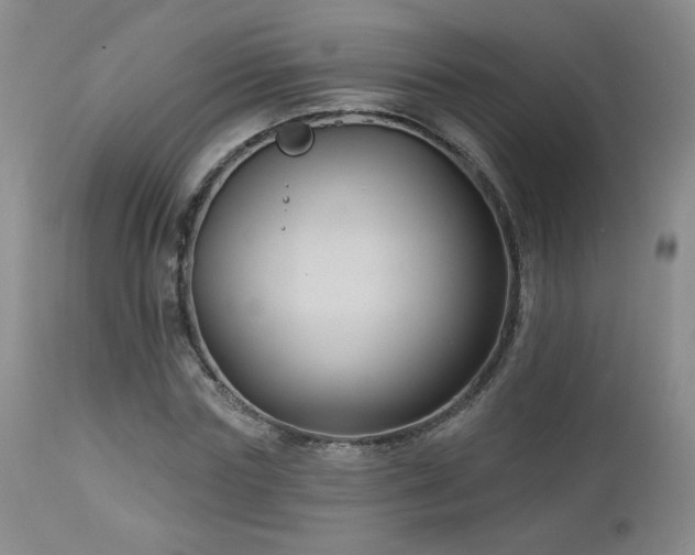 X0000112960827200908271114