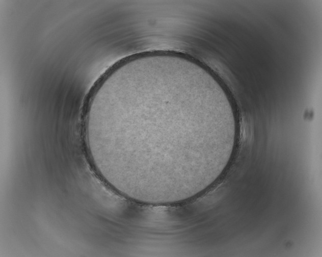 X0000112960828200908271114