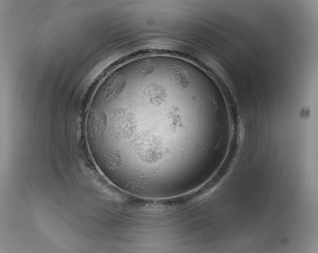 X0000112960829200908271114