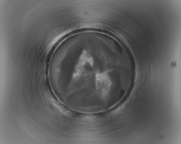 X0000112960830200908271114