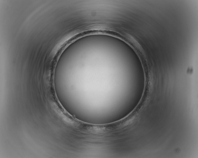 X0000112960831200908271114