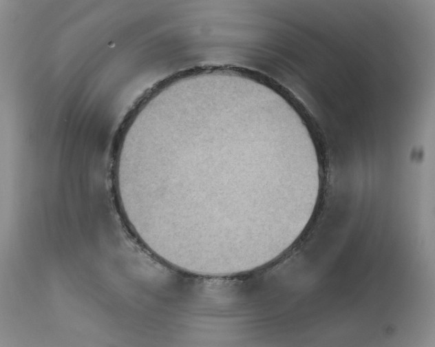 X0000112960832200908271114