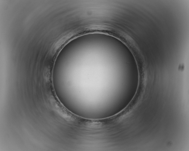 X0000112960833200908271114