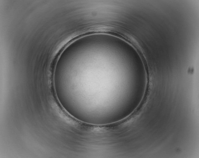 X0000112960835200908271114