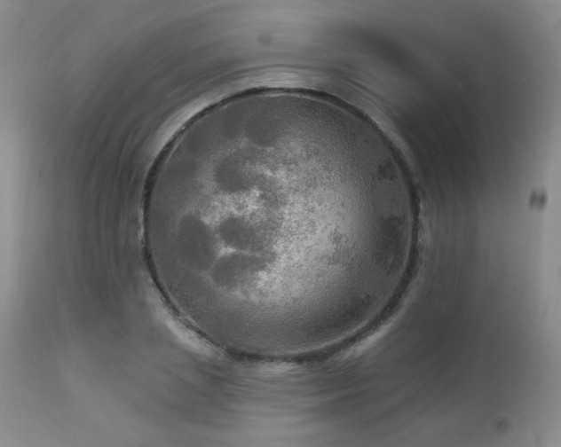 X0000112960837200908271114