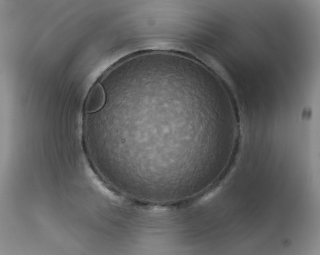 X0000112960839200908271114