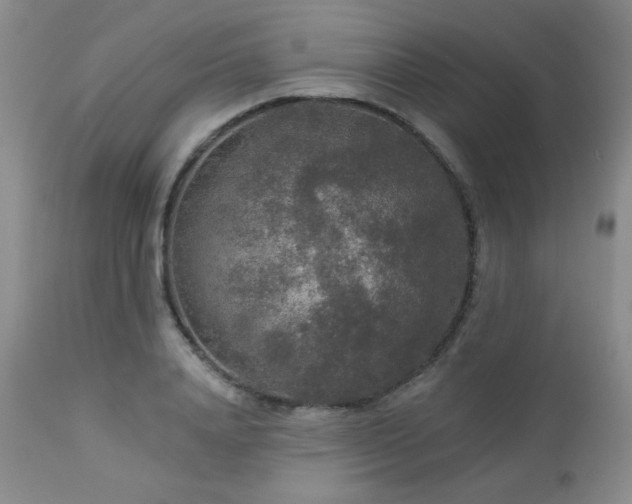 X0000112960840200908271114