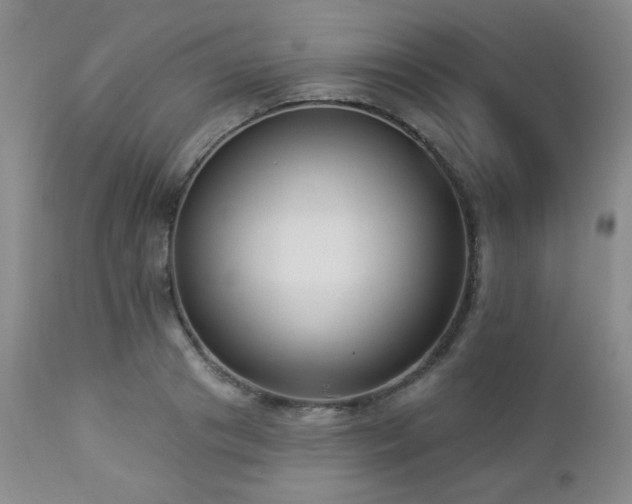 X0000112960841200908271114