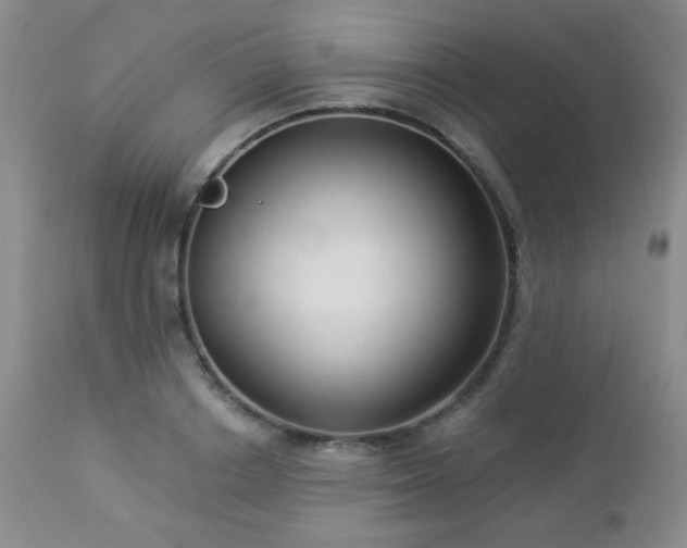 X0000112960842200908271114