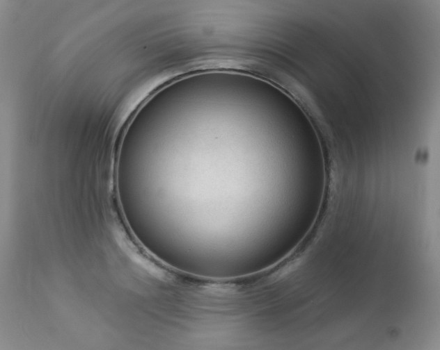 X0000112960844200908271114