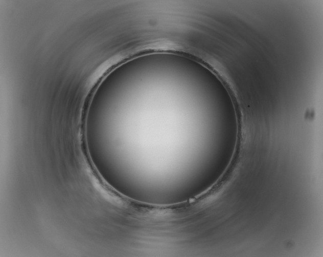 X0000112960845200908271114