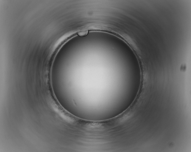 X0000112960846200908271114