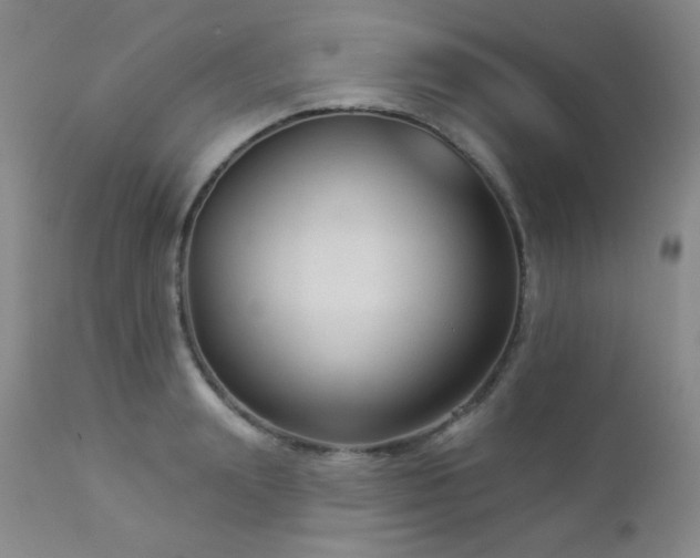 X0000112960847200908271114