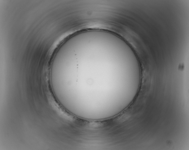 X0000112960848200908271114