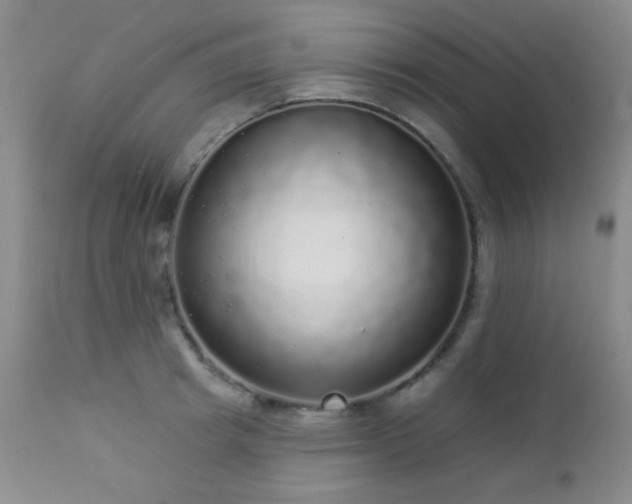 X0000112960849200908271114