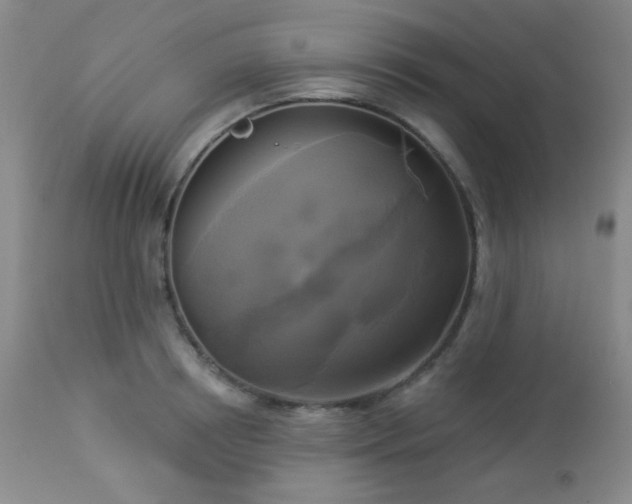 X0000112960850200908271114