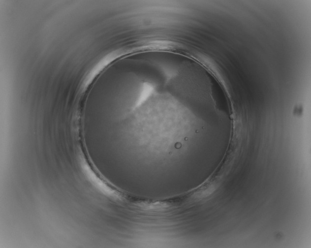 X0000112960851200908271114