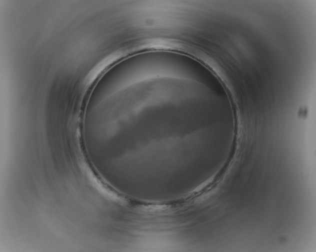 X0000112960853200908271114