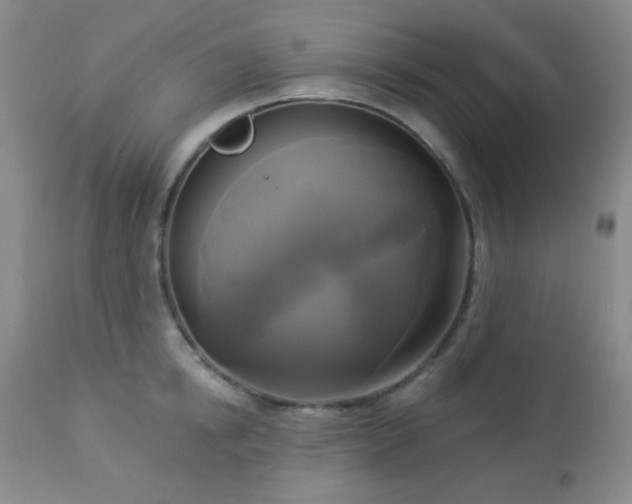 X0000112960854200908271114