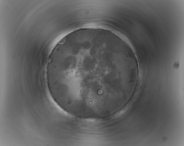 X0000112960855200908271114