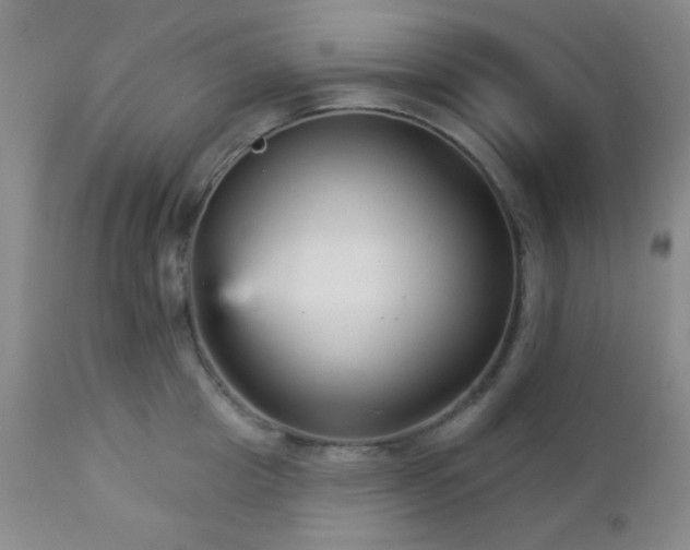 X0000112960857200908271114