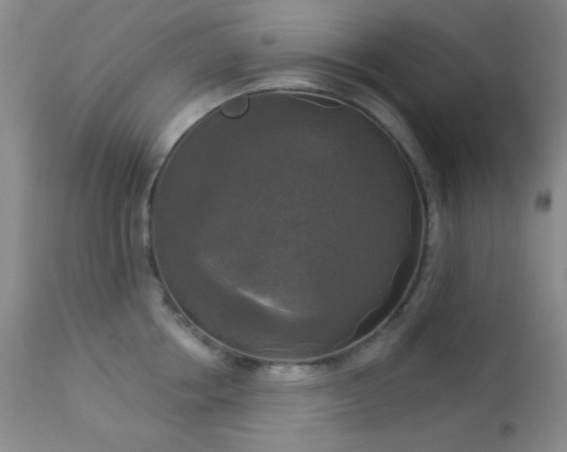 X0000112960858200908271114