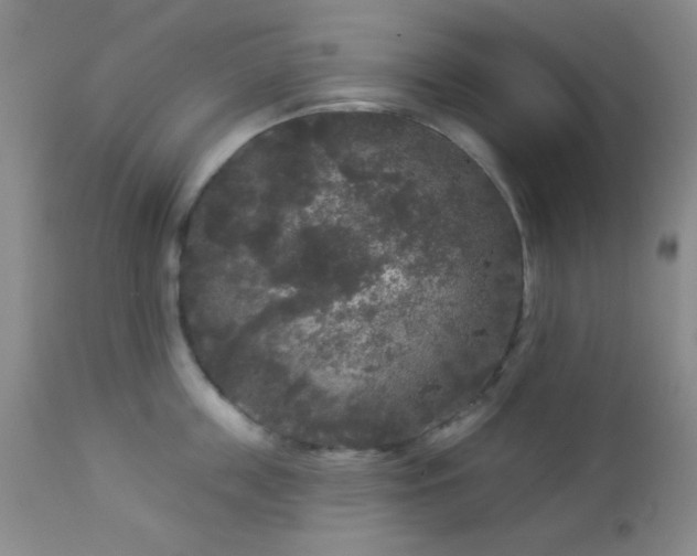 X0000112960859200908271114