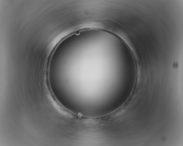 X0000112960861200908271115