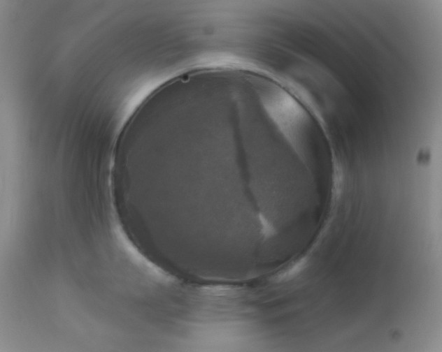 X0000112960863200908271115