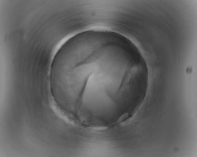 X0000112960864200908271115