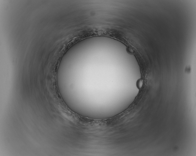 X0000112960865200908271114