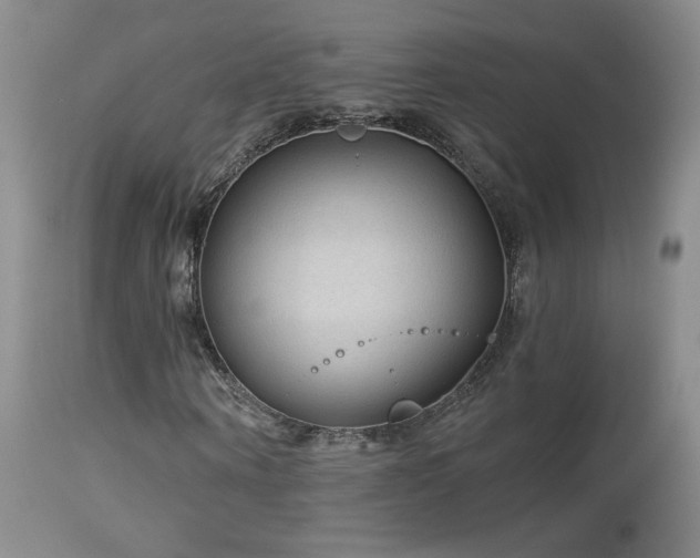 X0000112960866200908271114