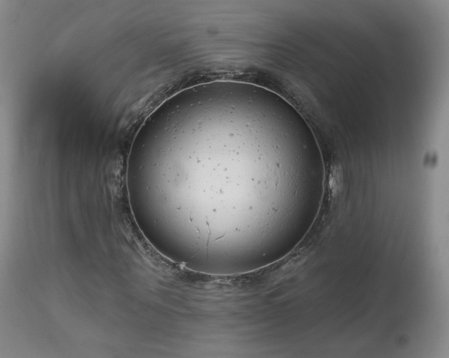 X0000112960867200908271114