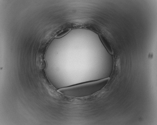 X0000112960868200908271114