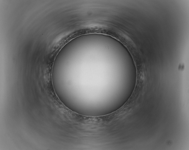 X0000112960869200908271114