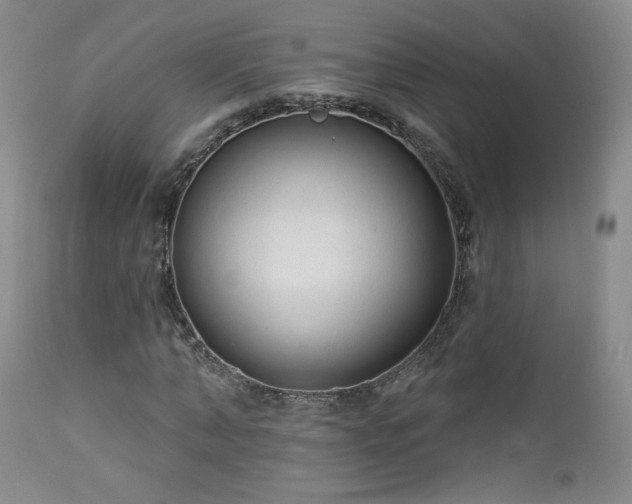 X0000112960870200908271114