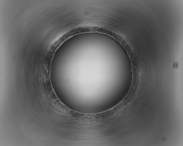 X0000112960871200908271114