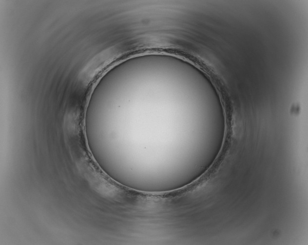 X0000112960873200908271114