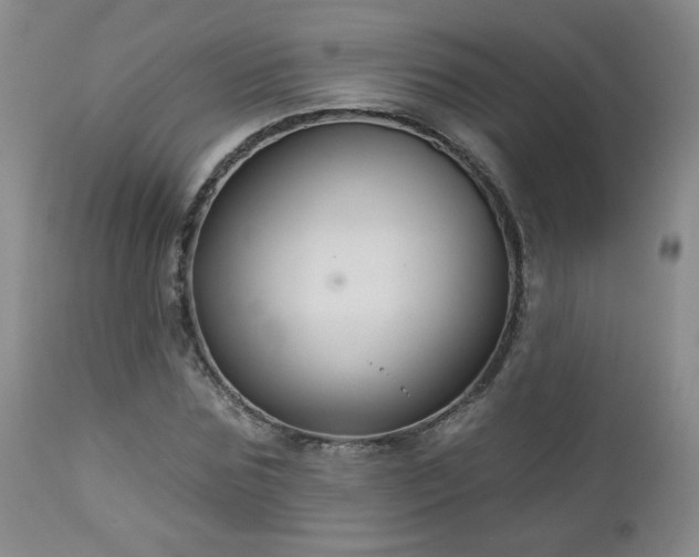 X0000112960875200908271114