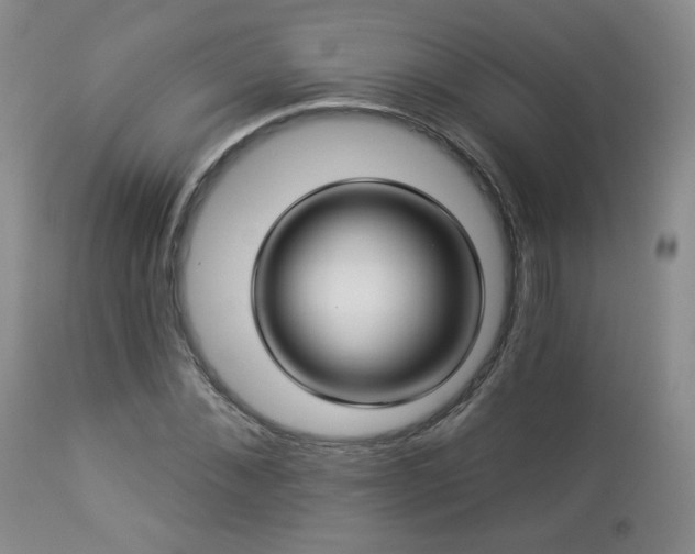 X0000112960876200908271114