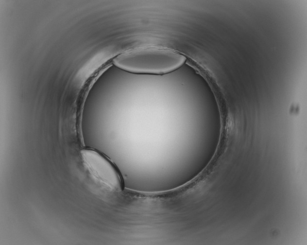 X0000112960877200908271114